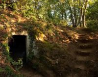 CALCATA – Opera Bosco Museo di Arte nella Natura