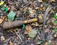 Rocca Priora – Rimosso ordigno bellico nel bosco  del Cerquone