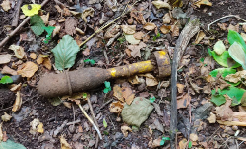 Rocca Priora – Rimosso ordigno bellico nel bosco  del Cerquone