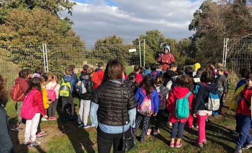 Parco dei Castelli Romani: le attività proposte per l’anno scolastico 2020-2021