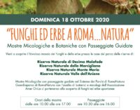 “FUNGHI ED ERBE A ROMA…NATURA “