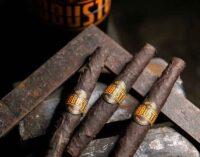 MST lancia Toscano Robusto: il sigaro “tutto d’un pezzo”