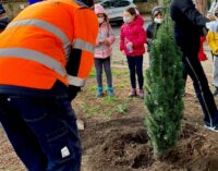 LA GIORNATA DELL’ALBERO UNISCE BAMBINI E ANZIANI  PER UNA GROTTAFERRATA SEMPRE PIÙ VERDE