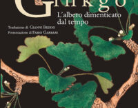 “Ginkgo L’albero dimenticato dal tempo”