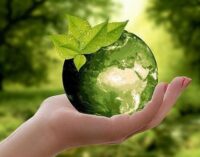 Ambiente: la svolta green dell’industria