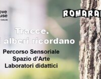 TRACCE. GLI ALBERI RICORDANO, UN PERCORSO SENSORIALE PER IL CENTENARIO DELLA GARBATELLA