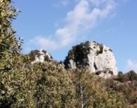 Salviamo il Bosco delle Lucinette nella Valle dei Monasteri