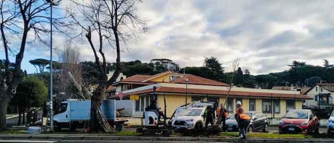 AMBIENTE, IN ARRIVO 200 NUOVI ALBERI IN TUTTA GROTTAFERRATA    