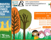 LABORATORIO DEL LEGNO DEGLI ALBERI DI ROMA