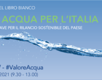 Ambrosetti-Gruppo Celli | presentazione 2ª edizione Libro Bianco “Valore Acqua per l’Italia” | 23 marzo 9:30 streaming