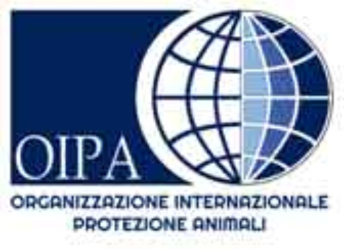 ANIMALI. SEQUESTRATI DALLE GUARDIE ZOOFILE DELL’OIPA