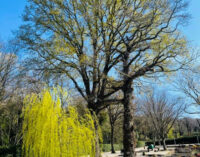 Primo Maggio contadino  Ariccia – Parco Romano Biodistretto