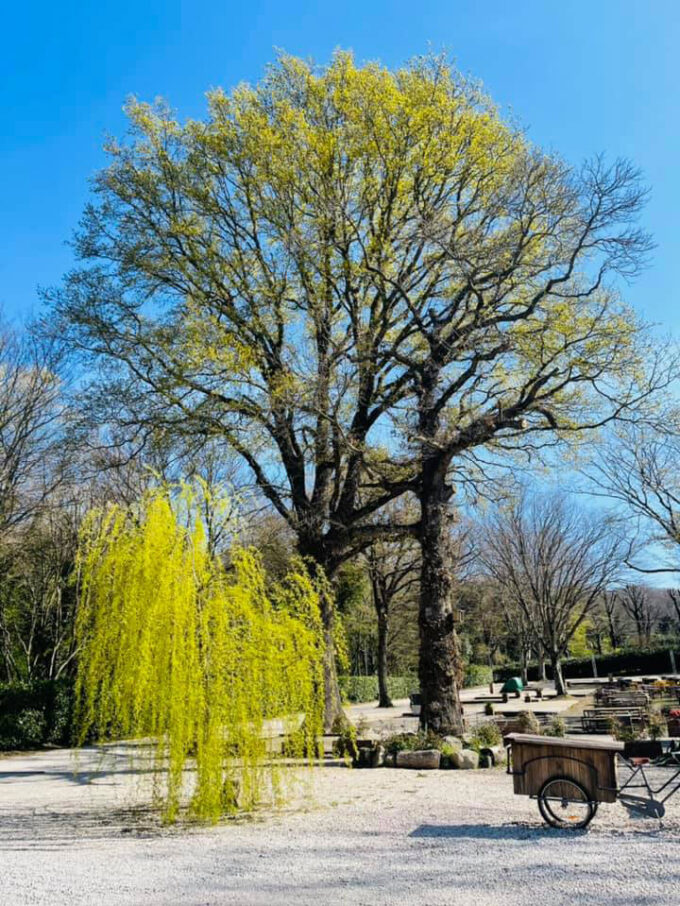 Primo Maggio contadino  Ariccia – Parco Romano Biodistretto