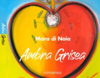 “Ambra Grisea”, romanzo di Mara di Noia   