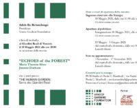 Venice Gardens Foundation | ECHOES OF THE FOREST | Maria Thereza Alves e Jimmie Durham | Giardini Reali di Venezia