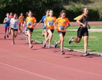 Atletica Frascati, show a Rocca Priora dei giovanissimi. Luciani e Pavoni ok ai campionati italiani