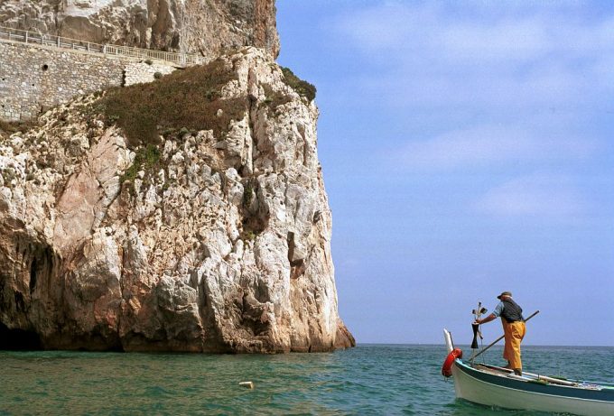 Il Mediterraneo muore di caldo