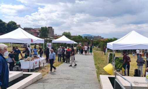 Cresce il numero dei visitatori al Parco Archeologico di Ercolano