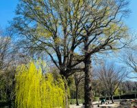 Parco Romano Biodistretto Ariccia  –  Eventi