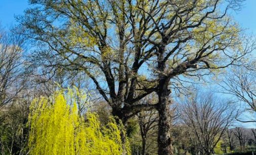 Parco Romano Biodistretto Ariccia  –  Eventi