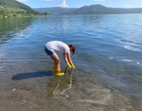 Il monitoraggio di Goletta dei Laghi di Legambiente sui laghi laziali