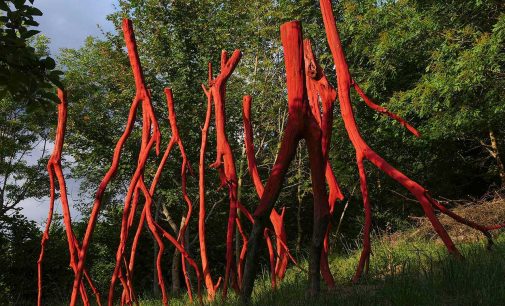 CALCATA – Venerdì 30 luglio ore 18.00  L’Orchestralunata a lume di candela