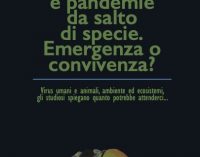 Pandemia e pandemie da salto di specie. Emergenza o convivenza?