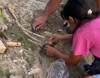 Scoperta una necropoli romana a Castel di Tora (RI)