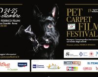 Pet Carpet Film Festival  quarta edizione