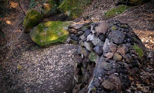 Calcata  Opera Bosco  Museo di Arte nella Natura 2021