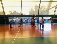 Volley Club Frascati, che entusiasmo! Musetti: “Boom di richieste per le nostre squadre giovanili”