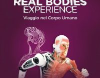 “Real Bodies Experience”, nel futuro del corpo umano tra biomedicina biomeccanica e cibernetica