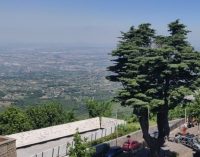 Tre alberi di Rocca Priora entrano nell’Elenco degli alberi monumentali d’Italia