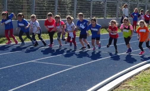 Atletica Frascati in massa al “Trofeo autunnale Fidal Roma sud”. Tredici convocati col Club Lazio