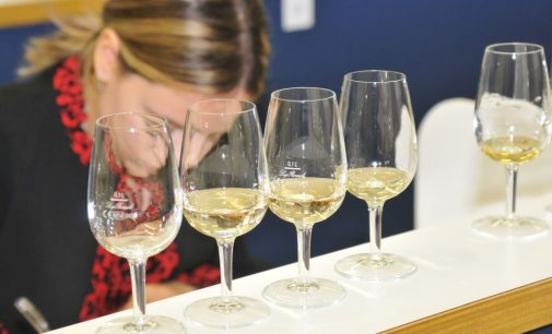FEM_Si apre il sipario sulla prima rassegna nazionale dei vini “resistenti” : 95 etichette in gara