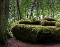 CALCATA, OPERA BOSCO – VISITA GUIDATA AL PERCORSO DI ARTE NELLA NATURA