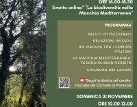 Pomezia celebra la Giornata Nazionale degli Alberi 2021