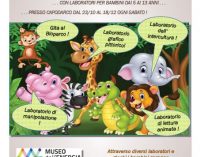 GROTTAFERRATA – SERVIZI EDUCATIVI, LABORATORI PER BAMBINI E ADOLESCENTI