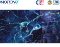 EMOTIONS a Roma il 19 Novembre_La grande bellezza: possono le neuroscienze spiegare l’arte?