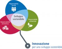 I PARADOSSI DELLA SOSTENIBILITA’