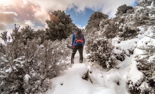 Si accende il Natale all’Isola d’Elba