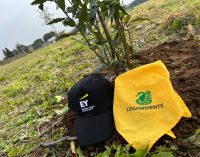 Legambiente e EY piantano 100 alberi tra Roma e Milano