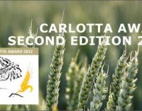 Agroalimentare: al via le candidature del “Carlotta Award 2022” per scienziate under 40