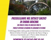 Il 17 luglio “Passeggiare nel Bosco Sacro di Diana Aricina”