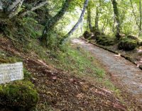 ARCHEO-TREKKING SUL MONTE CAVO