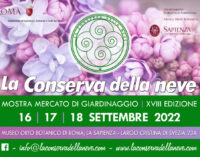 Museo Orto Botanico di Roma – LA CONSERVA DELLA NEVE