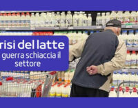 Crisi produzione del latte: la guerra mette in ginocchio un altro settore!