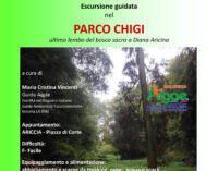 “ESCURSIONE GUIDATA NEL PARCO CHIGI ULTIMO LEMBO DEL BOSCO SACRO A DIANA ARICINA”