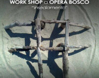 Calcata 29 ottobre/1°novembre 2022  WORK SHOP a OPERA BOSCO