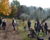 123 alberi d’ulivo per i 123 neonati cittadini di Grottaferrata